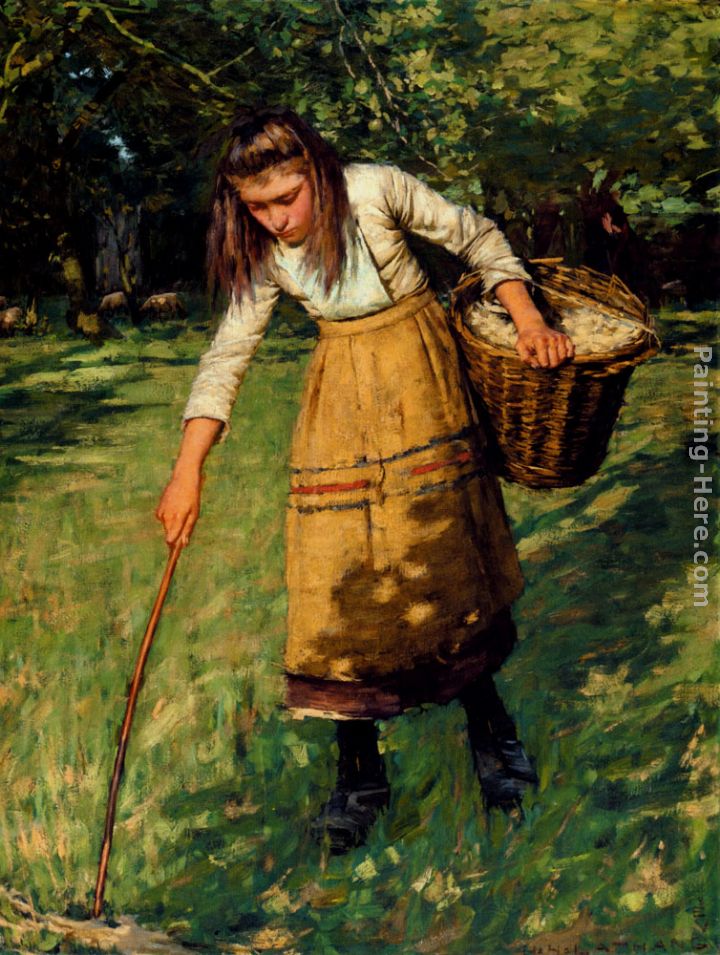 Gathering Wool